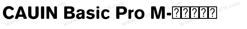 CAUIN Basic Pro M字体转换